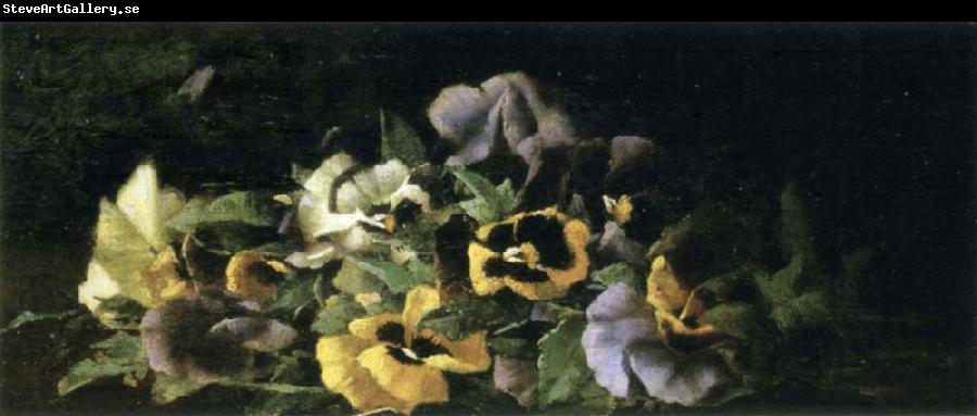 Hirst, Claude Raguet Pansies